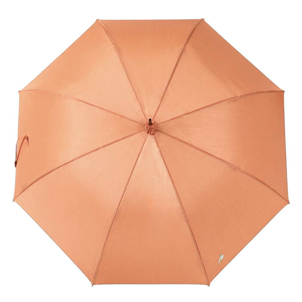 シャンタン&寒竹手元 パイピング 小鳥刺繍雨傘