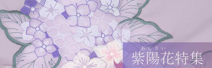 紫陽花特集