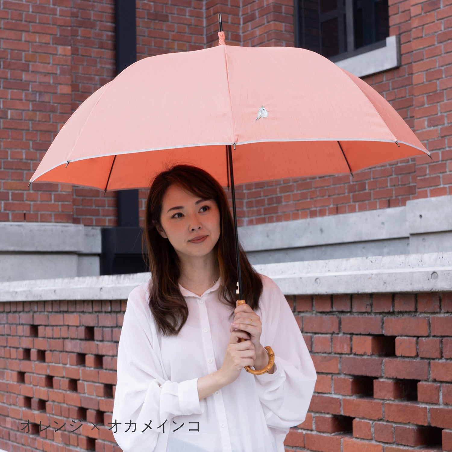 シャンタン＆寒竹手元 パイピング  小鳥刺繍雨傘